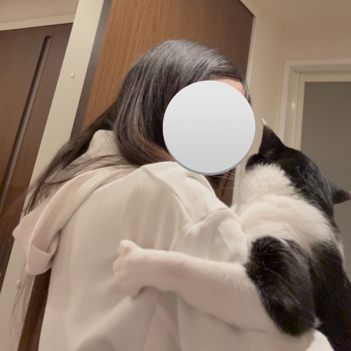 腕を掴む猫