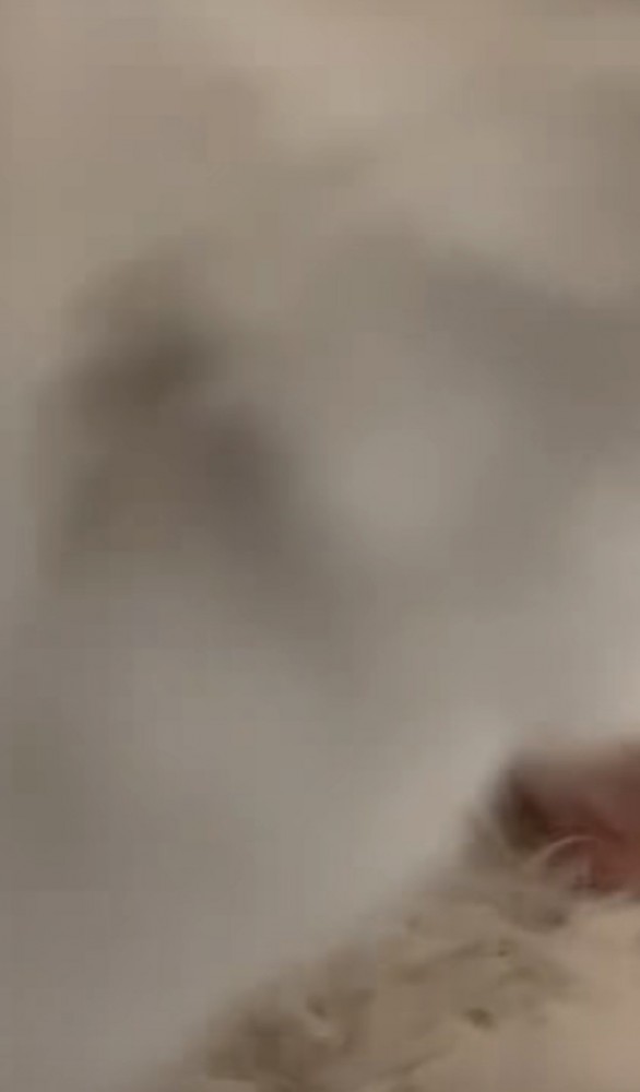 画面が真っ暗になっている写真