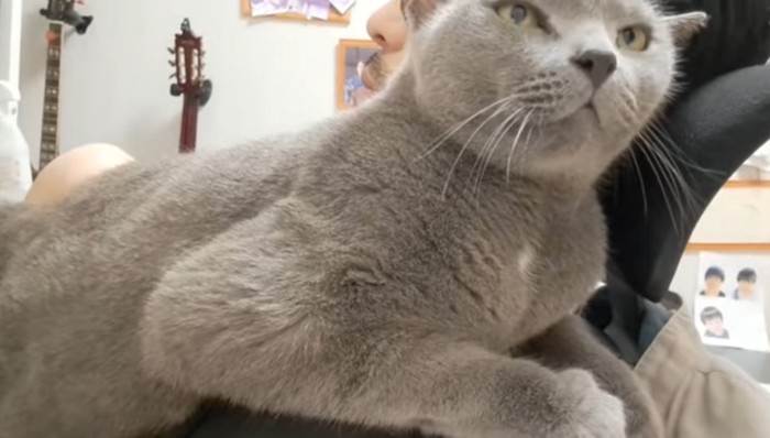 正面を向いて