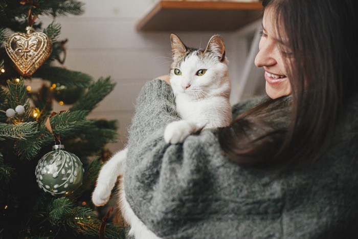 抱っこされる猫