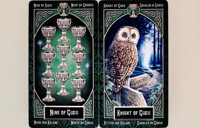 NINEofCUPS/KNIGHTofCUPS