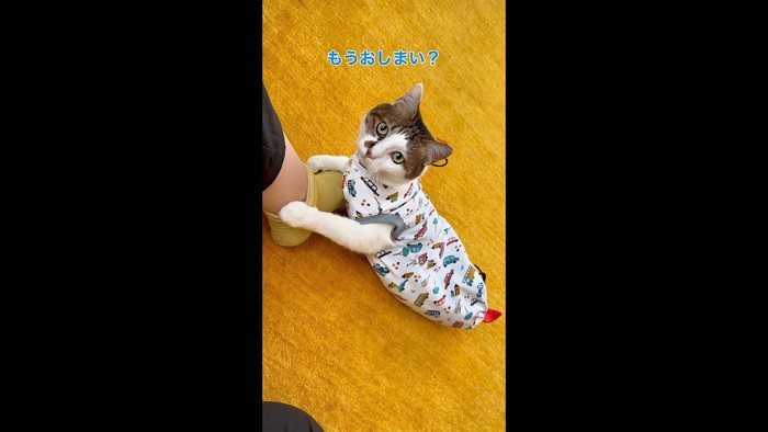 もうおしまい?