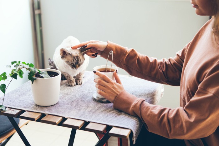 温かいコーヒーを飲む女性と猫