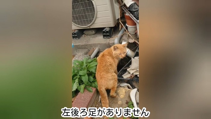 駅長さんの駅での様子