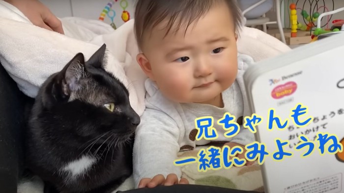 絵本を見る赤ちゃんと猫(兄ちゃんも一緒にみようね)