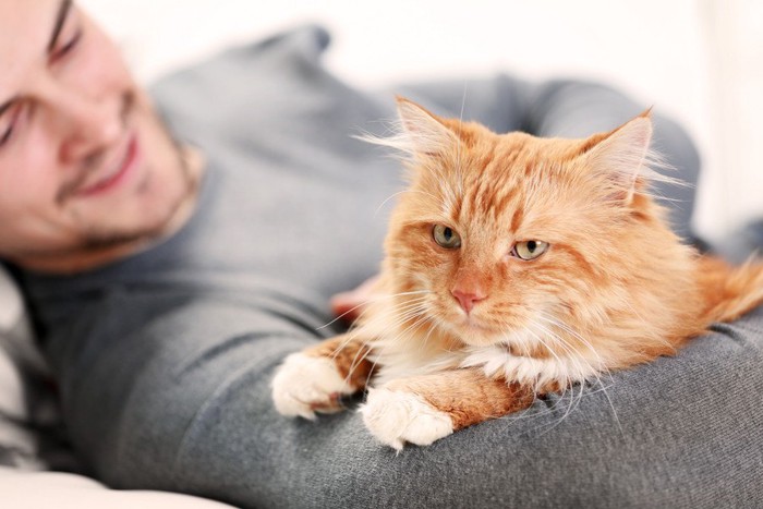 男性の腕に乗る猫