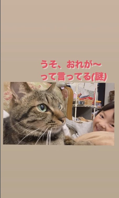 猫に笑顔を見せる娘さん