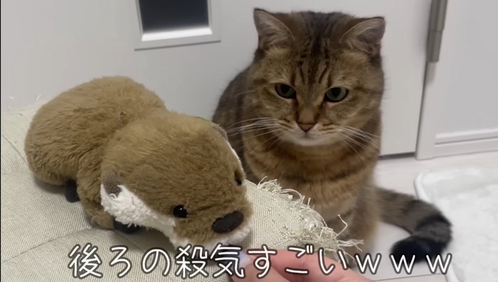 殺気