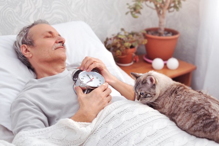 時計を持つ飼い主の隣で眠る猫