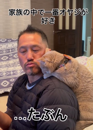 口元の匂いを嗅ぐ猫