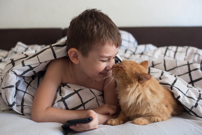 少年と鼻チューする猫