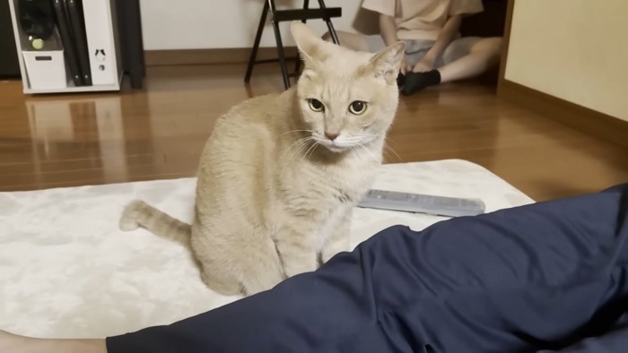 猫ちゃんと黒いズボンの脚(奥に娘さん)