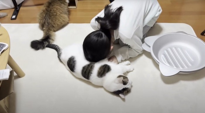 猫吸いする女性1