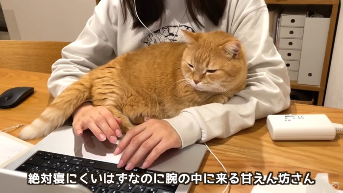 テロップ「絶対寝にくいはずなのに~」