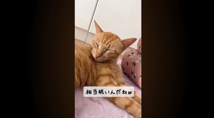 相当眠いんだねw