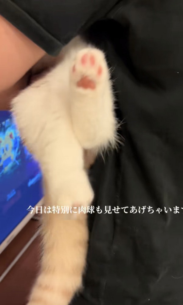 「今日は特別に...」のテロップ写真1