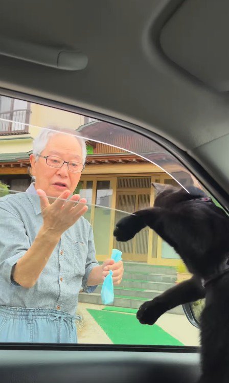 車から身を乗り出す猫と見送るおじいちゃん