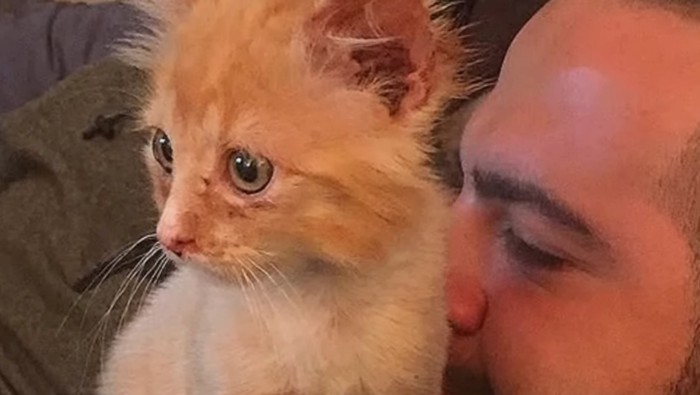 チャトラと男性の顔