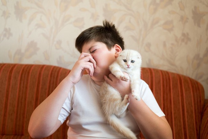 猫を臭がる少年