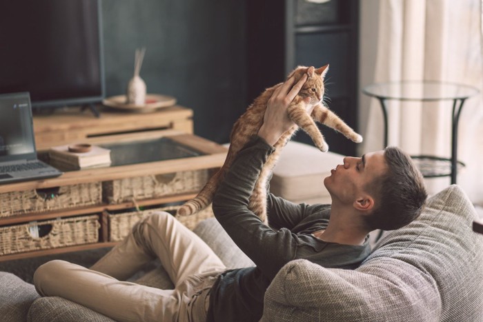 男性に抱かれて緊張ぎみの猫