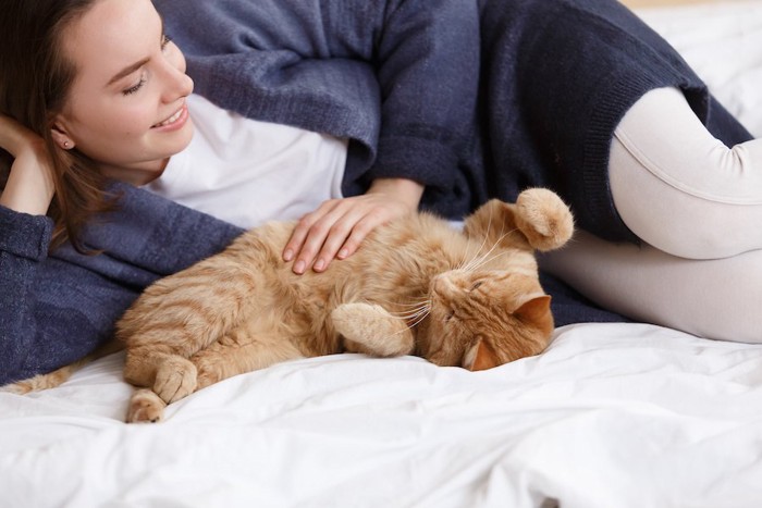 飼い主に甘えてお腹を出す猫