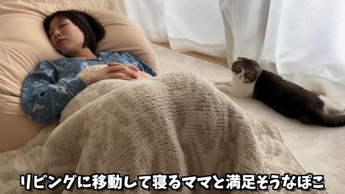 寝ている人の隣で横になる猫