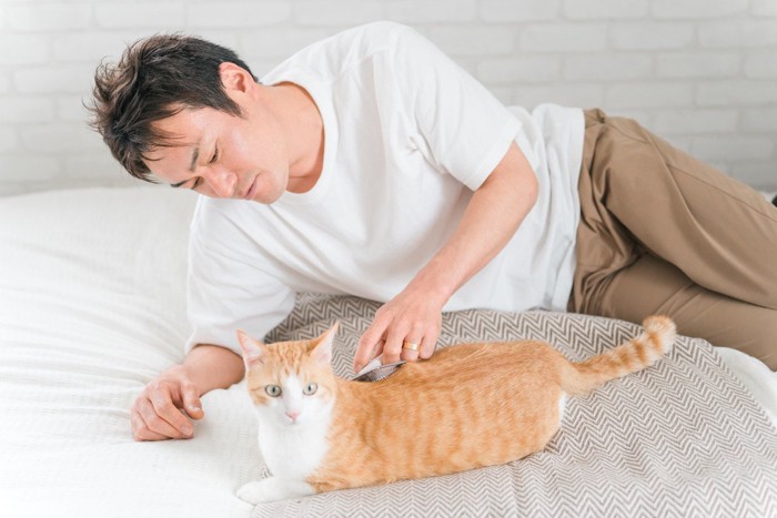 男性から目を逸らす猫