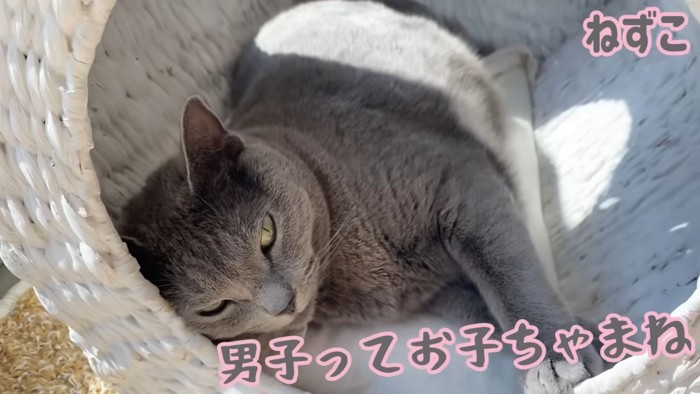テロップ「男子ってお子ちゃまね」