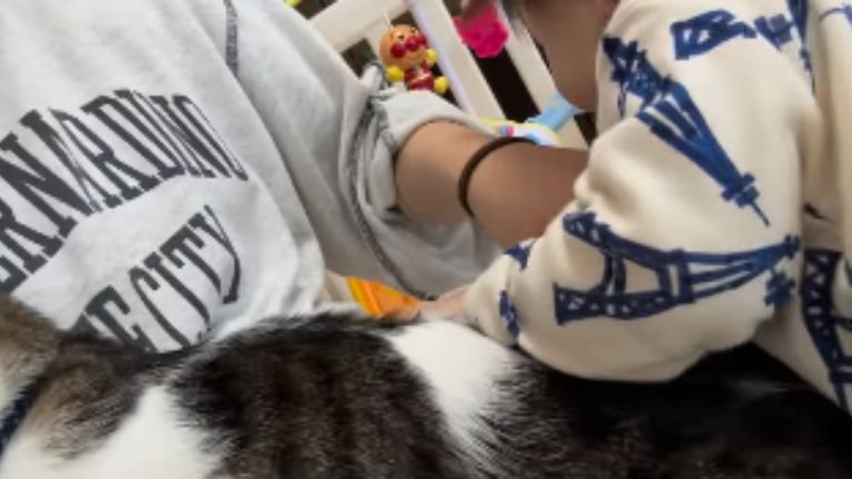 赤ちゃんと猫