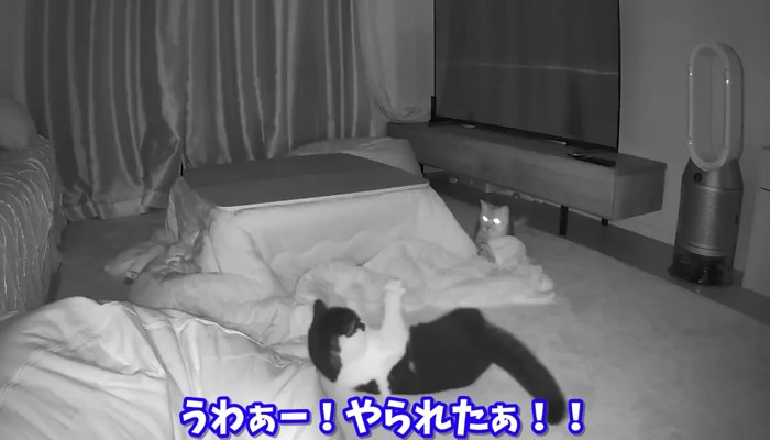 やられたぁ!!