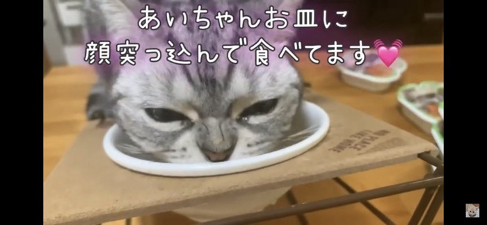 食べる