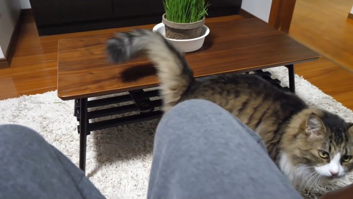 右から
