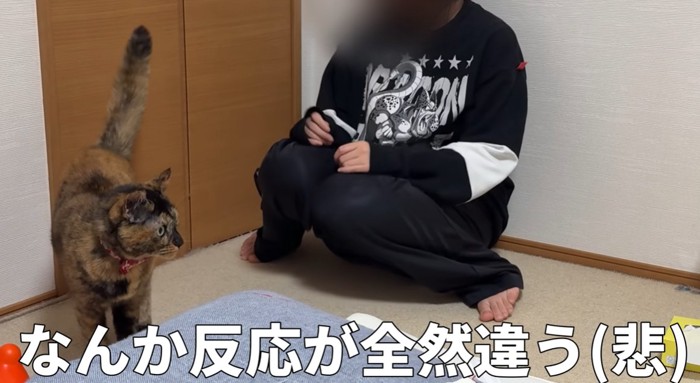 座っている人から少し離れて尻尾を上げる猫