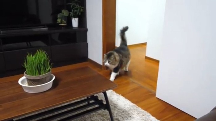 入室