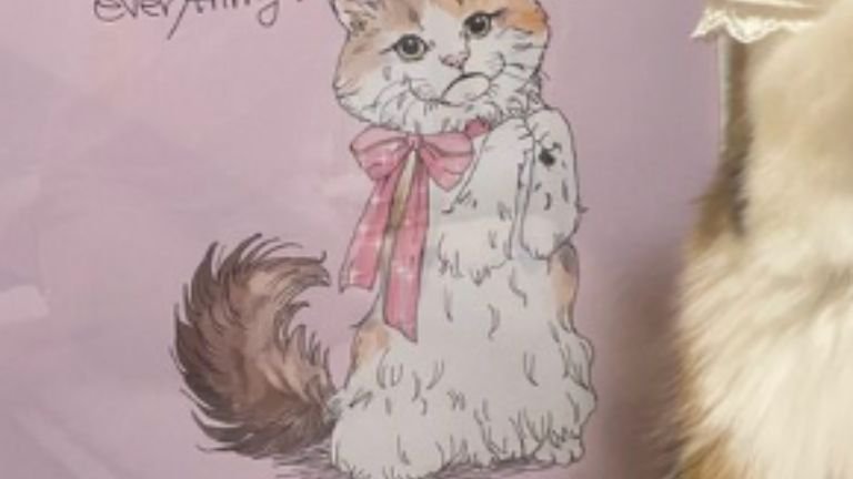 猫のイラスト