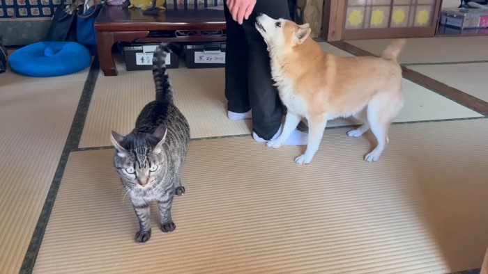 空くんとももちゃん