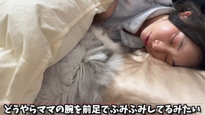 布団の中でふみふみする猫