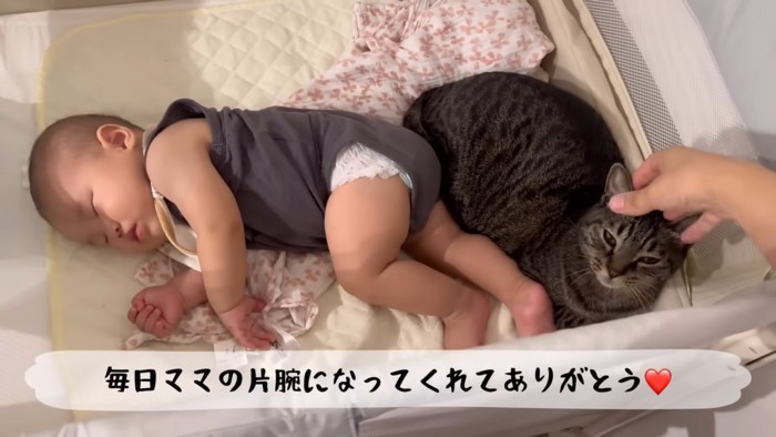 テロップ「毎日ママの~」