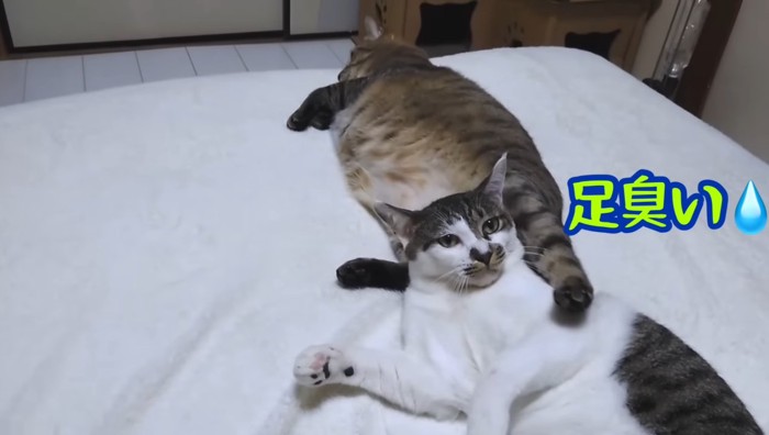 足臭い