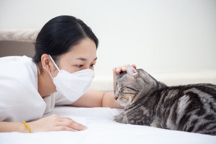 マスクをする女性と眠る猫