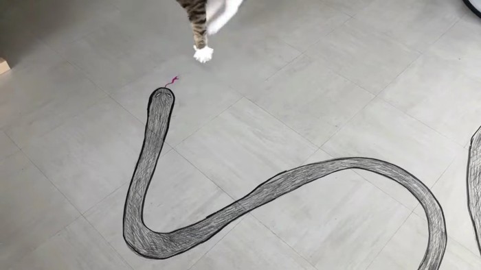 蛇の絵と空中に浮かぶ猫の手