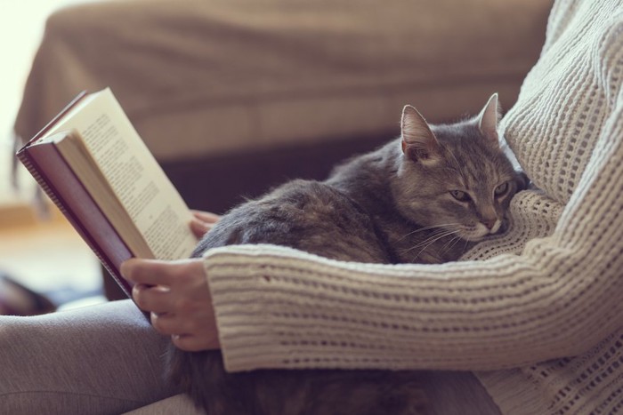 本を読む飼い主の膝の上で眠る猫