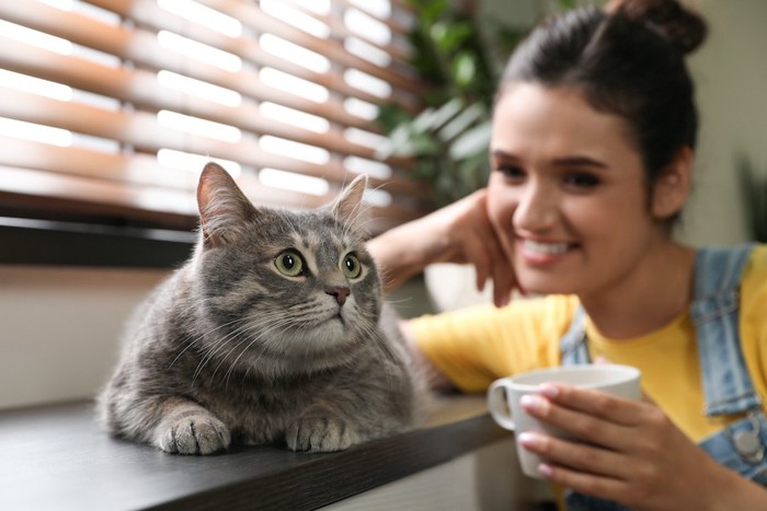 猫を見つめるカップを持った女性