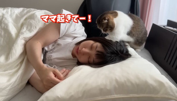 ママ起きてー！