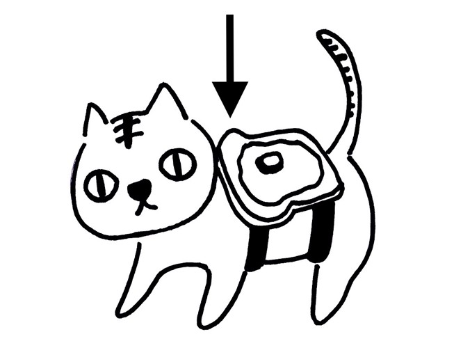 バター猫のパラドックス説明イラスト1