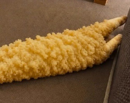 AIが生成した、衣がついたような猫の腹の画像