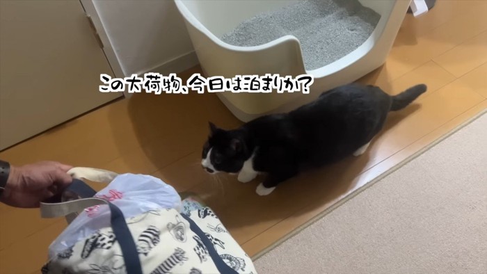 今日は泊まりか?