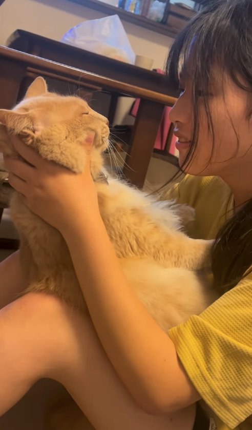 ほっぺたをマッサージされている猫と笑顔の飼い主