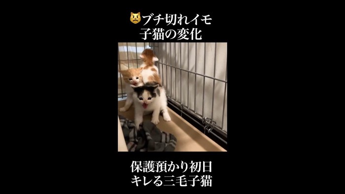 奥に集合