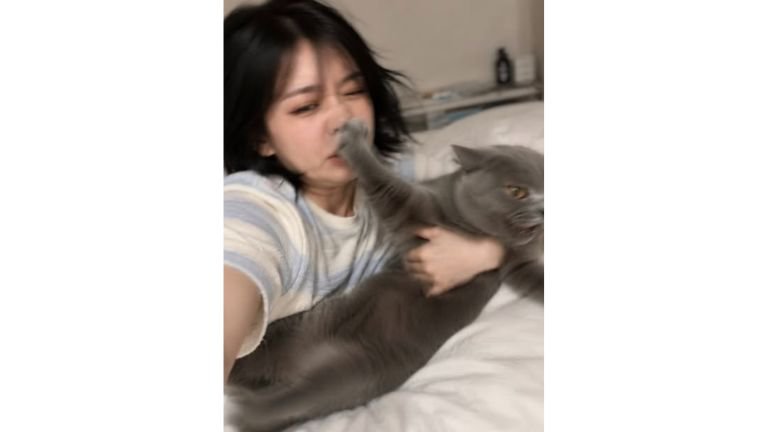抱かれている猫